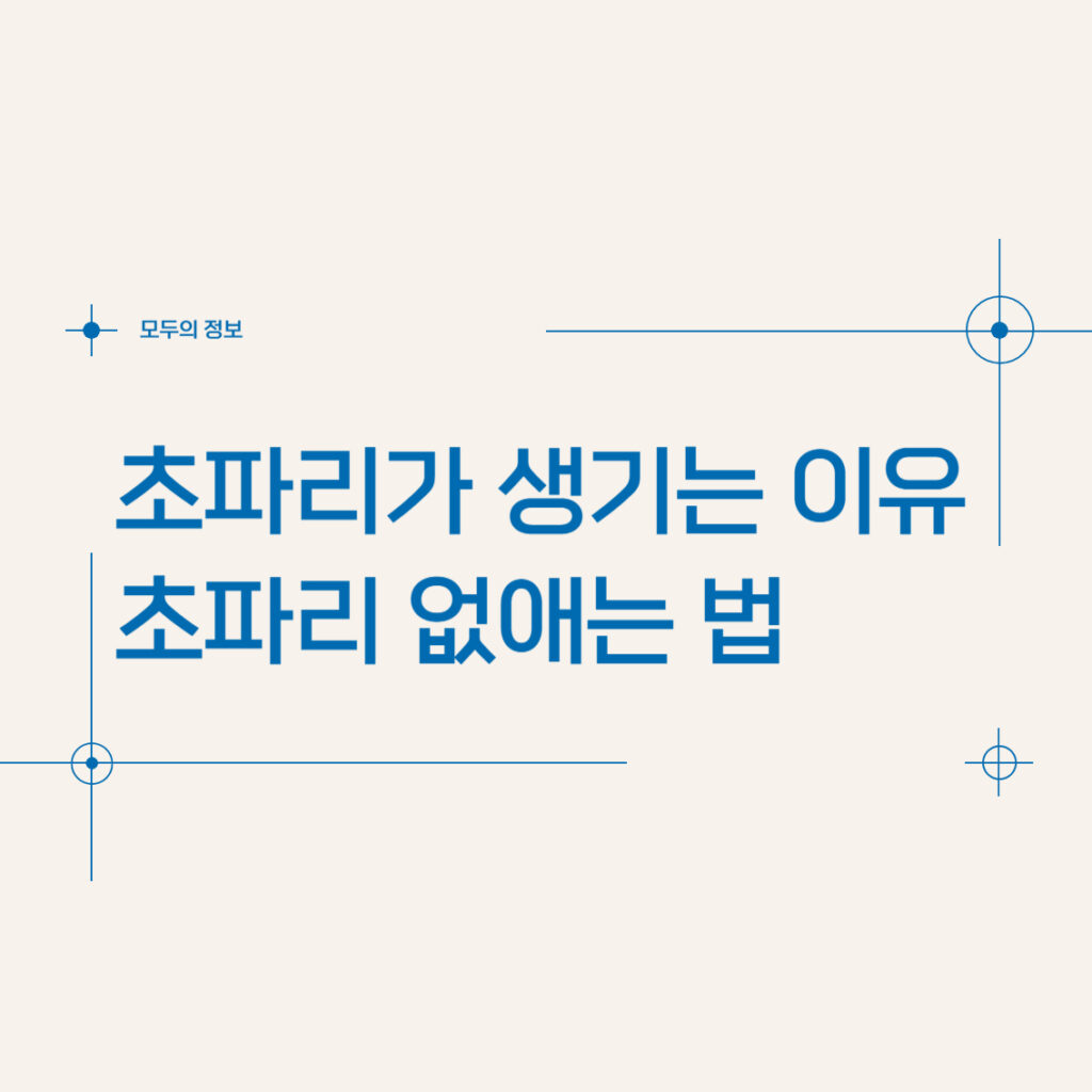 초파리가 생기는 이유, 초파리 없애는 법