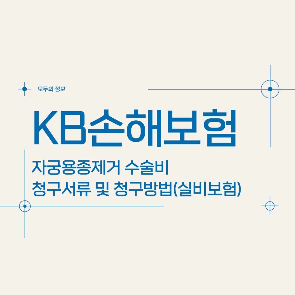 KB손해보험 자궁용종(폴립)제거 수술비 청구서류 및 청구방법(feat.실비보험)
