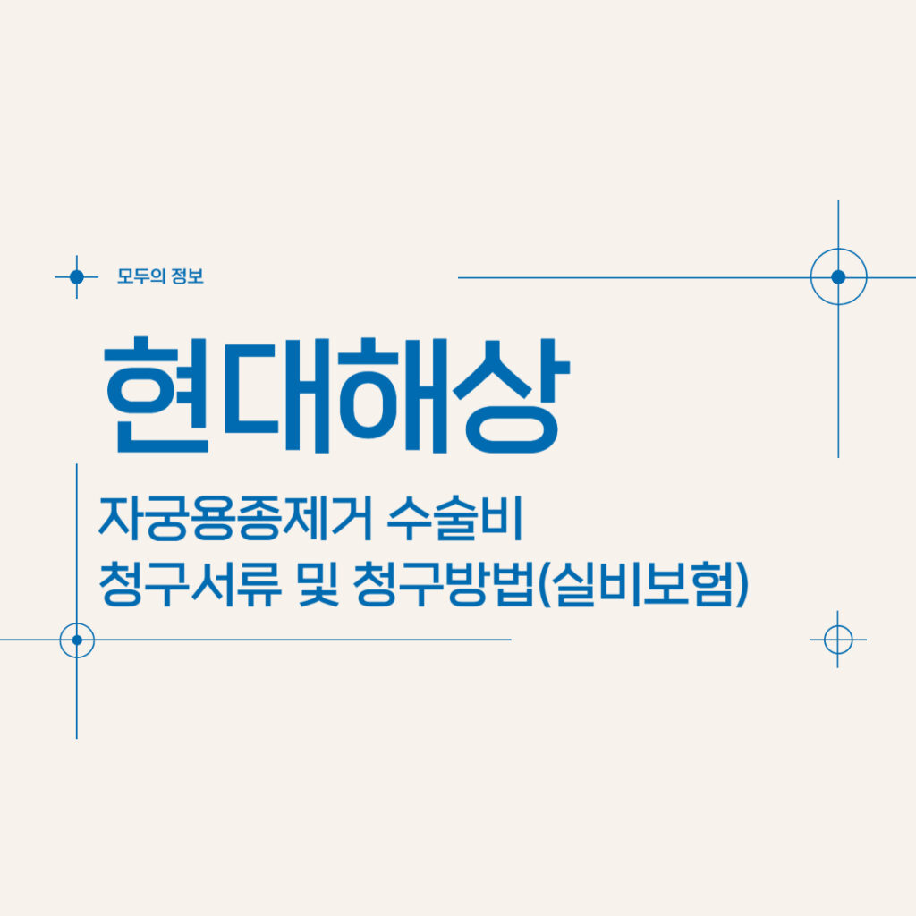 현대해상 자궁용종(폴립)제거 수술비 청구서류 및 청구방법(feat.실비보험)