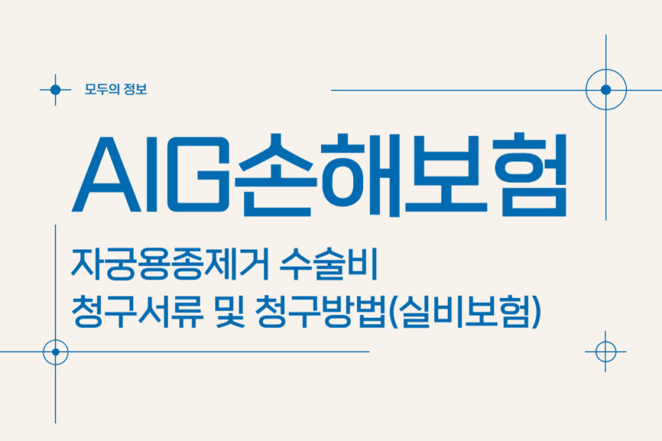 AIG손해보험 자궁용종(폴립)제거 수술비 청구서류 및 청구방법(feat.실비보험)