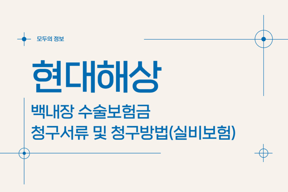 현대해상 백내장 수술보험금 청구서류 및 청구방법(feat. 실비보험)