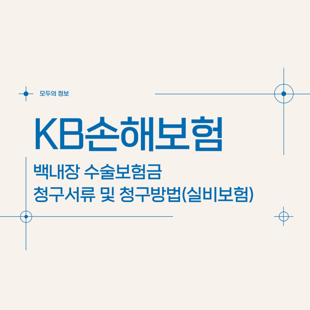 KB손해보험 백내장 수술보험금 청구서류 및 청구방법(feat. 실비보험)