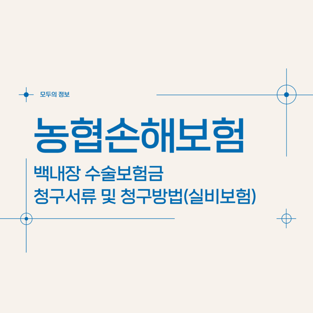 농협손해보험 백내장 수술보험금 청구서류 및 청구방법(feat. 실비보험)