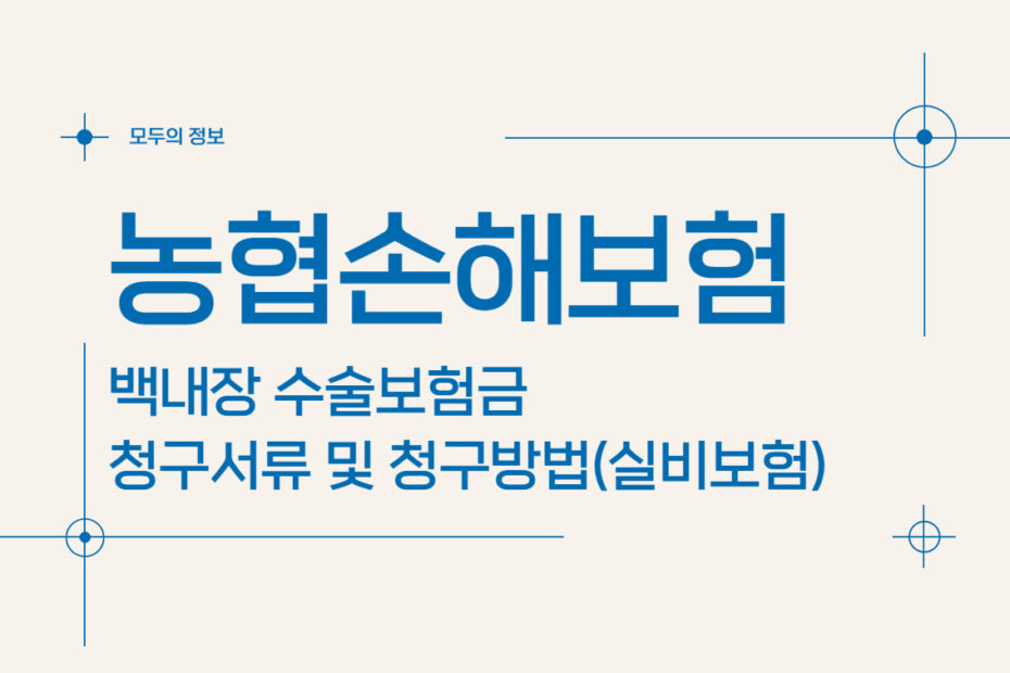 농협손해보험 백내장 수술보험금 청구서류 및 청구방법(feat. 실비보험)