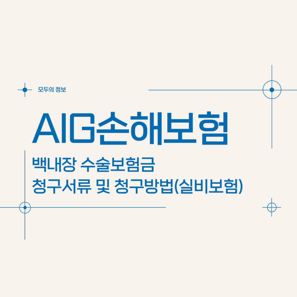 AIG손해보험 백내장 수술보험금 청구서류 및 청구방법(feat. 실비보험)