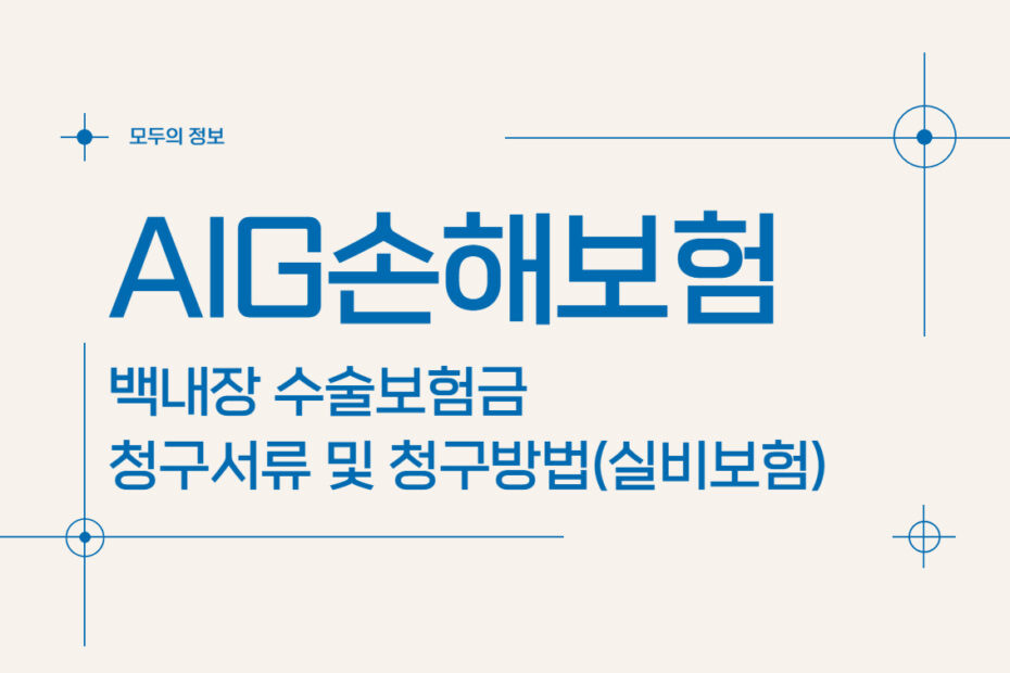 AIG손해보험 백내장 수술보험금 청구서류 및 청구방법(feat. 실비보험)